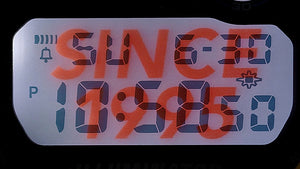 Reloj - G-SHOCK DW-6900TR-4